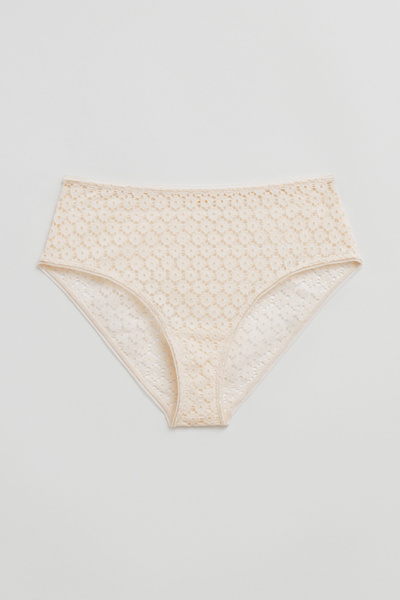 Floral Lace High Waist Briefs