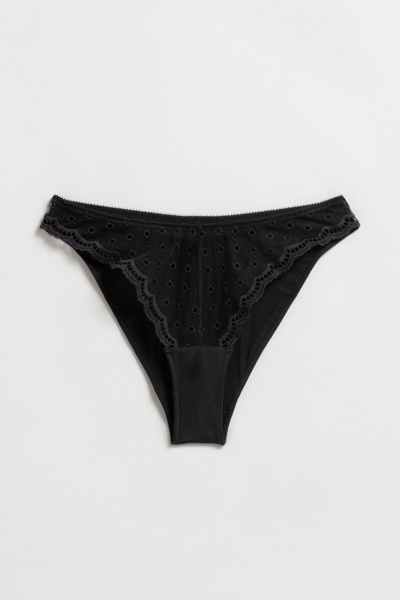 Embroidered Lace Briefs